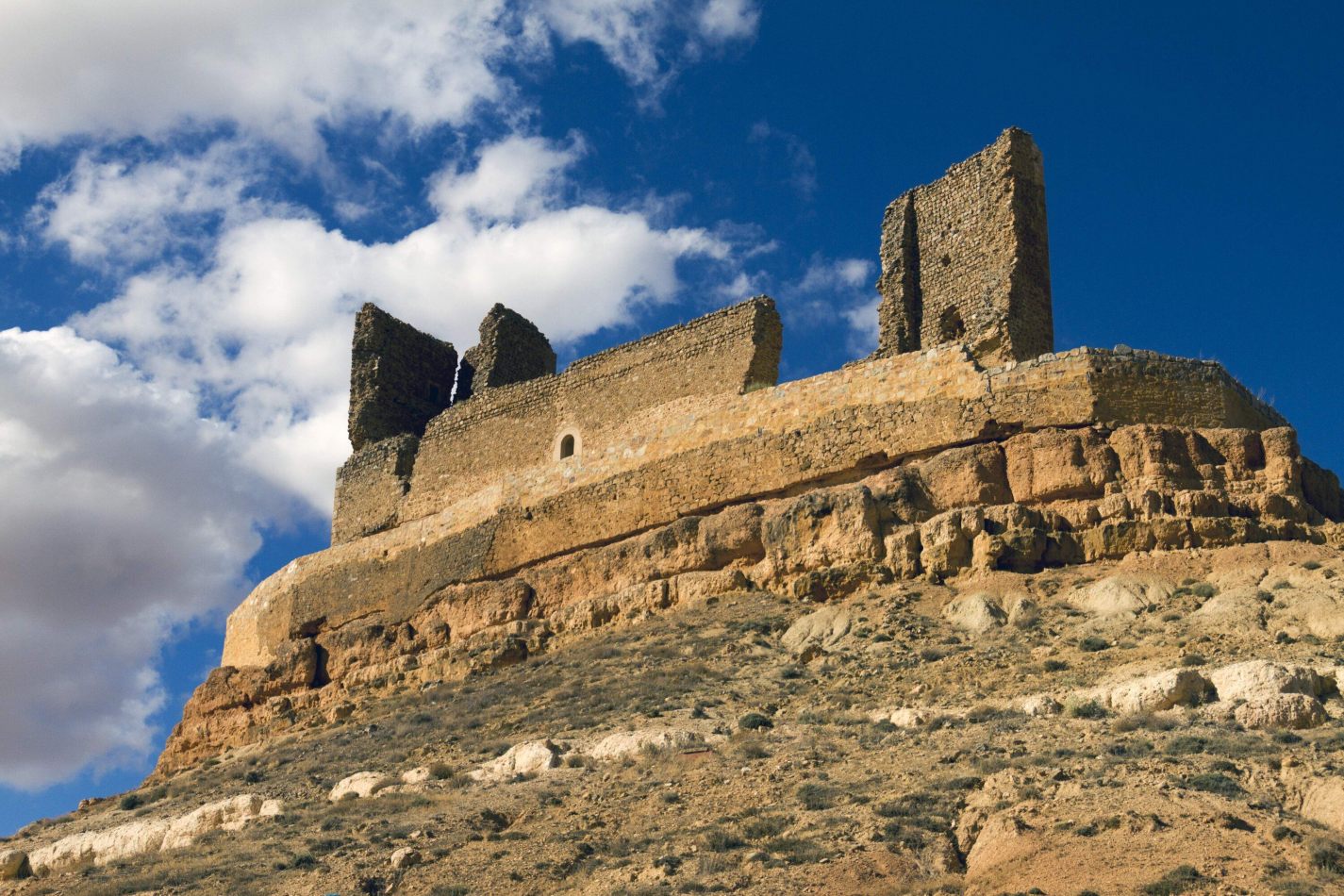 Storvandre: Montuenga