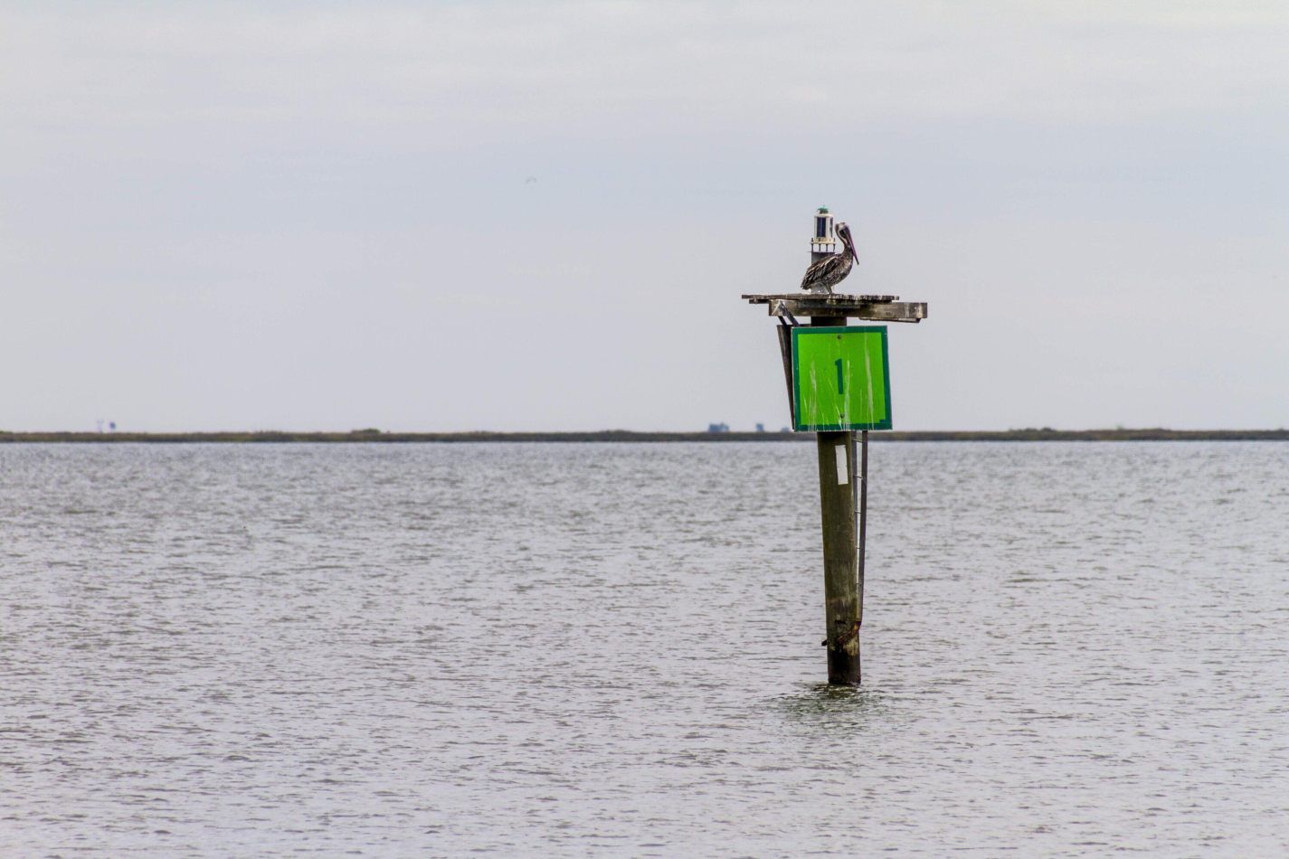 Storvandre: New Orleans