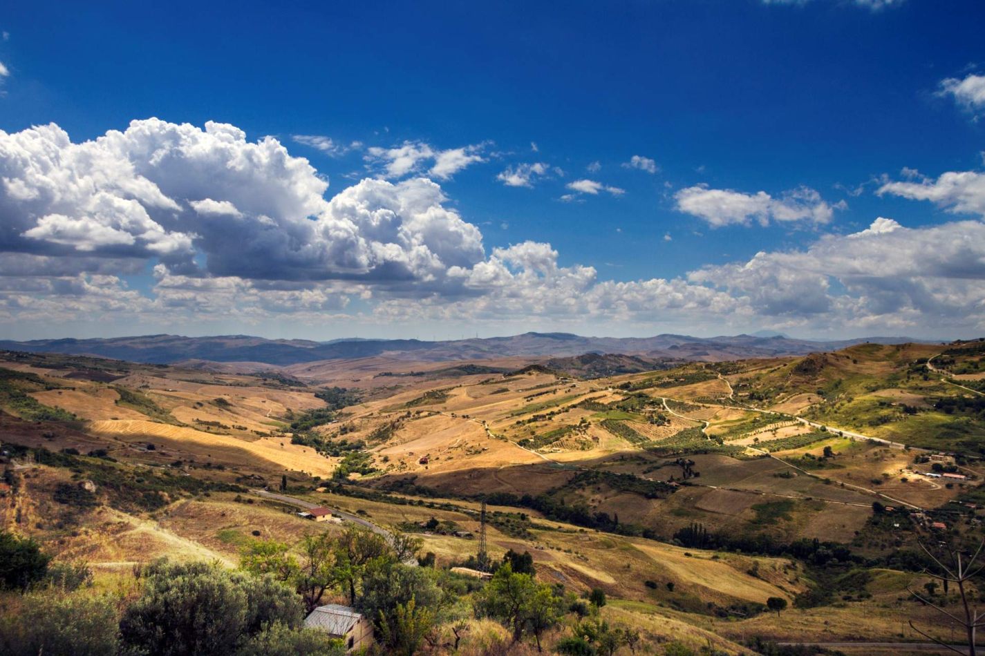 Storvandre: Petralia