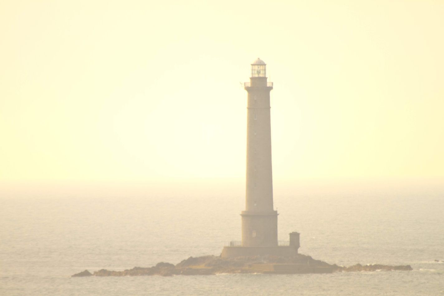 Storvandre: Cap de la Hague