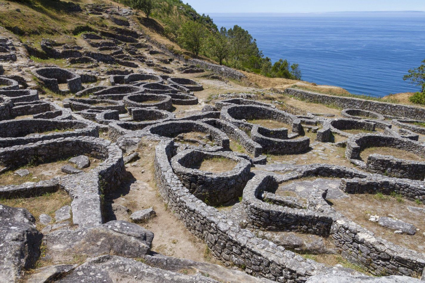 Storvandre: Santa Trega