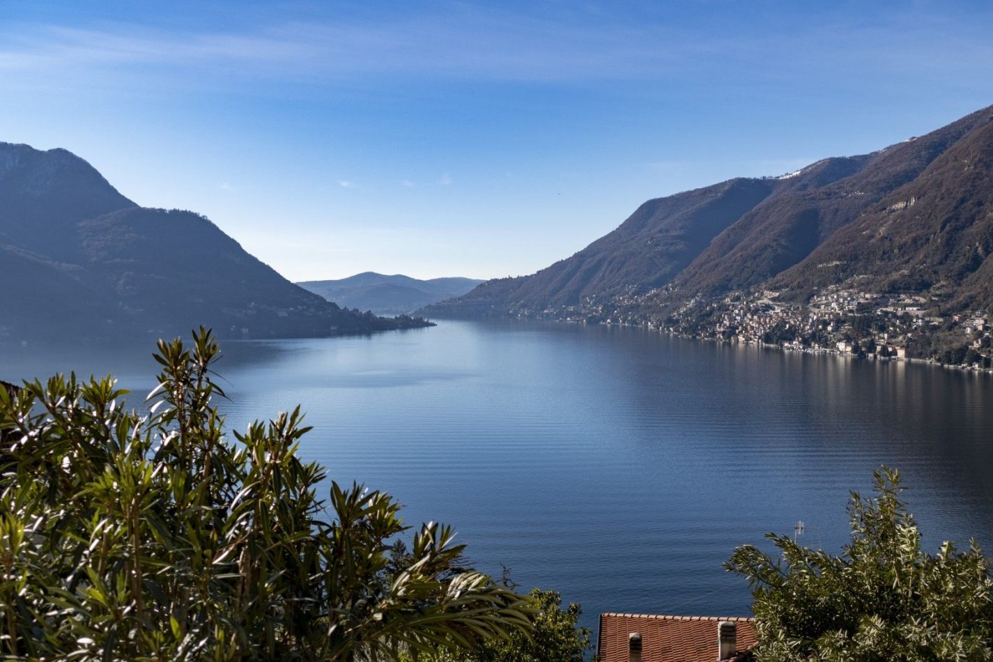 Storvandre: Pognana Lario