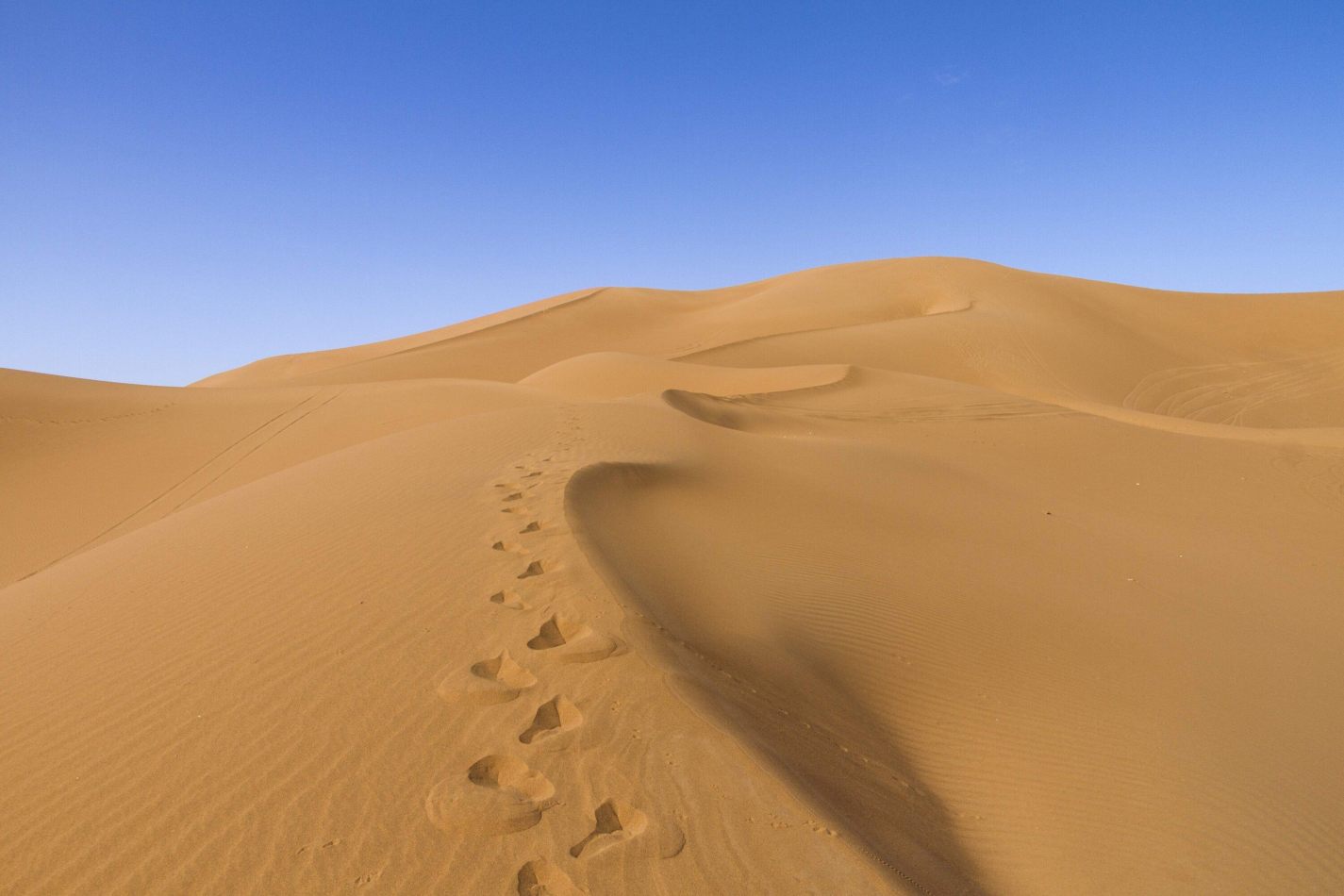 Storvandre: Erg Chigaga