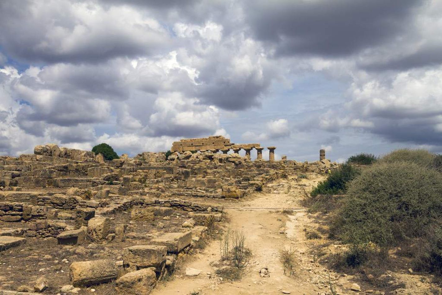 Storvandre: Selinunte