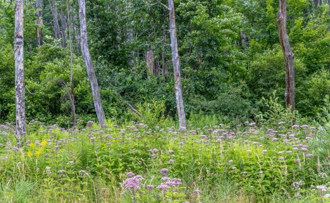 Bar Harbor  ME to North Conway  NH