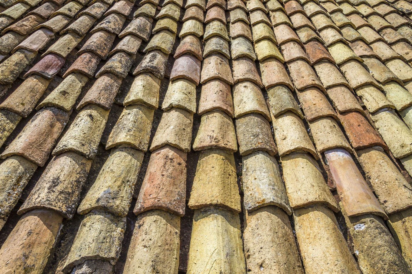 Storvandre: Dubrovnik