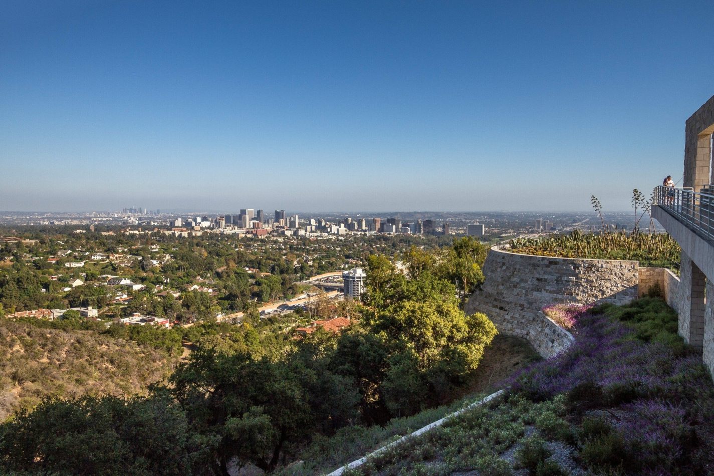 Storvandre: Los Angeles