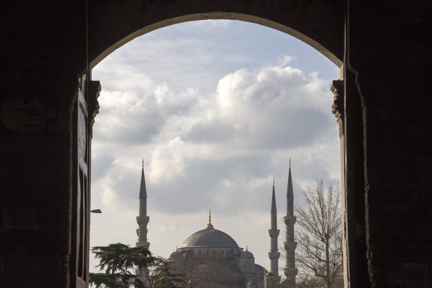 Storvandre: Istanbul