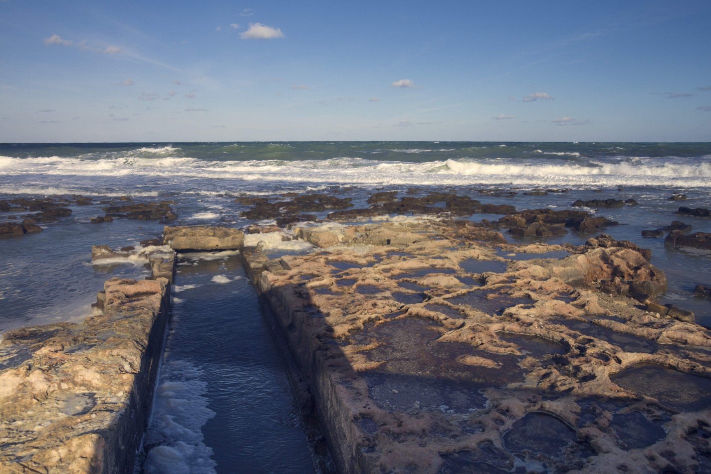 Storvandre: Polignano