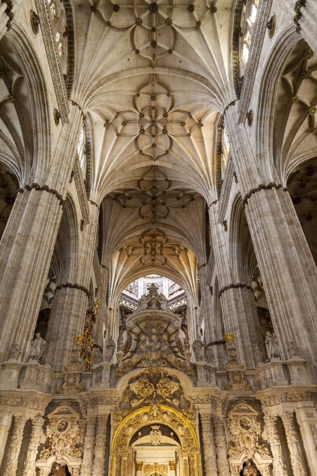 Storvandre: Salamanca