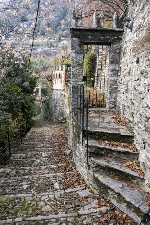 Storvandre: Carate Urio