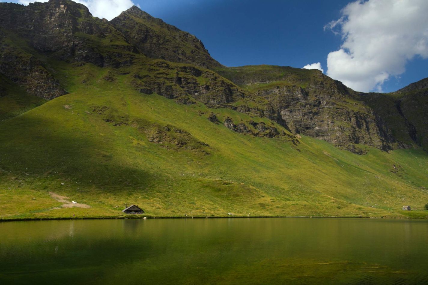 Storvandre: Ritom Lake