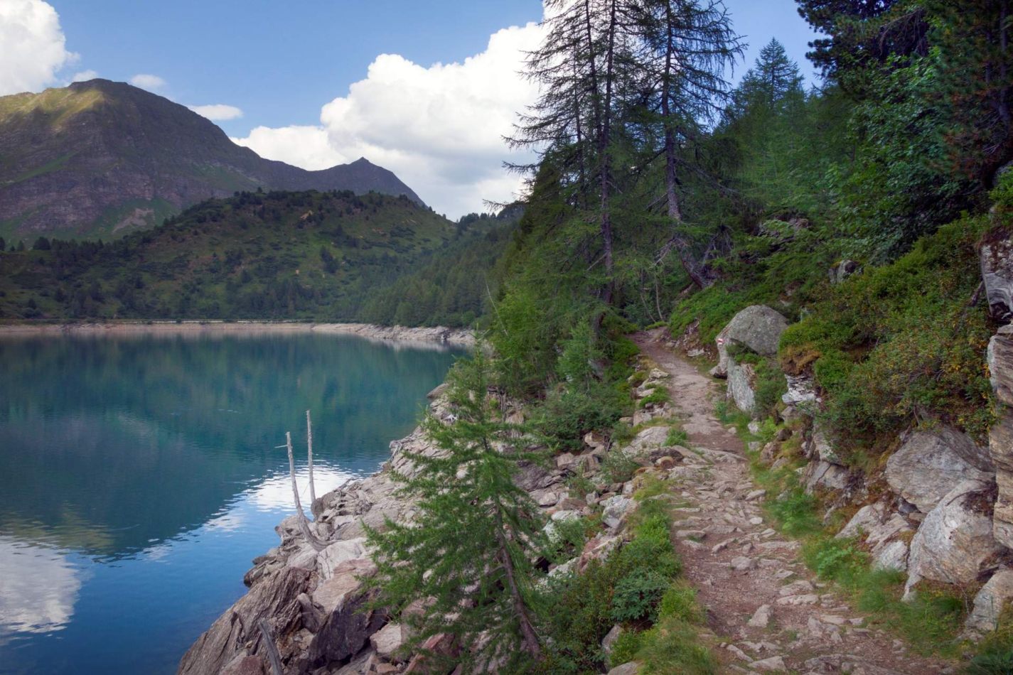 Storvandre: Ritom Lake