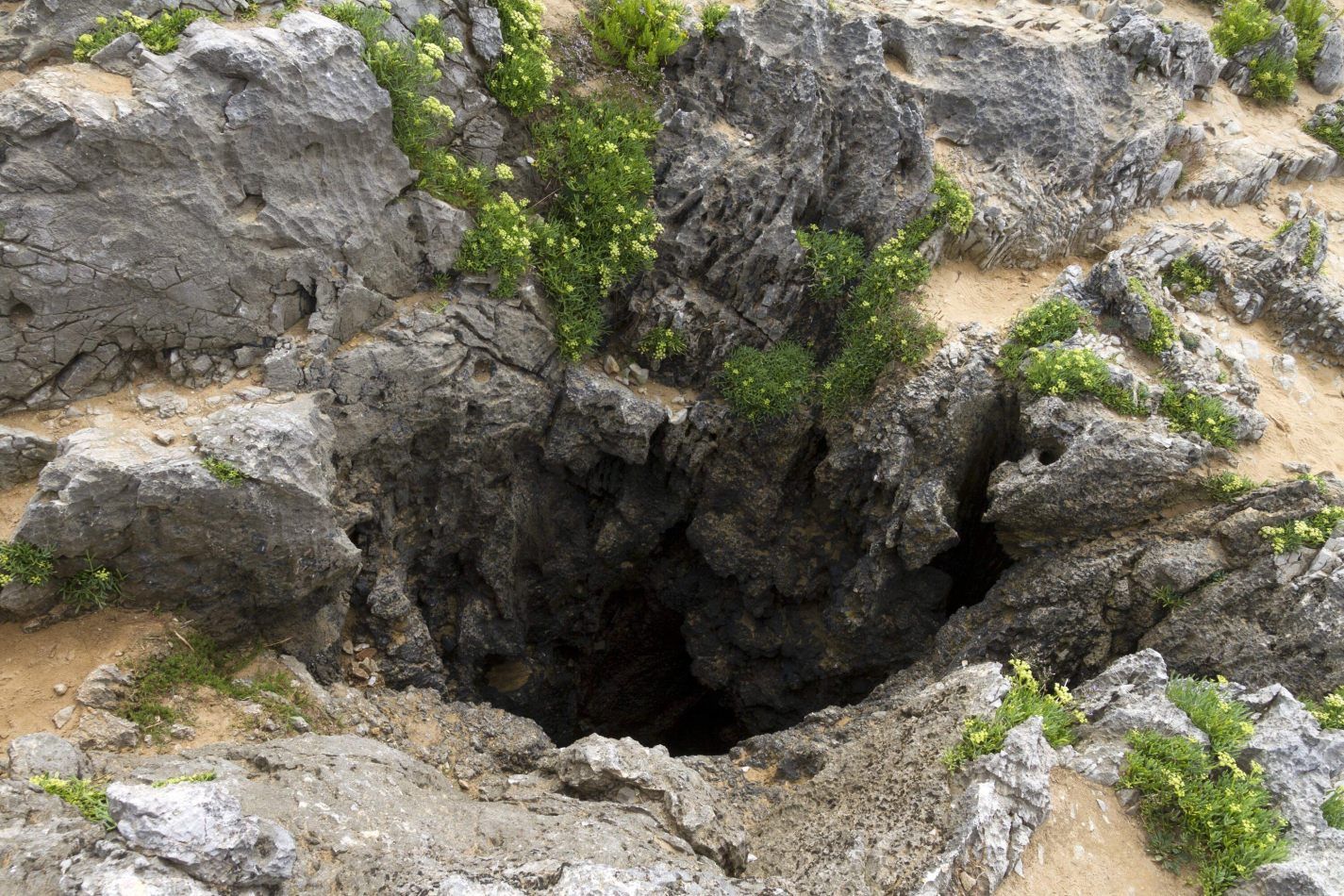 Storvandre: Playa de Guadamia