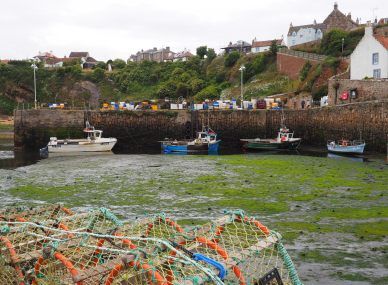 Crail