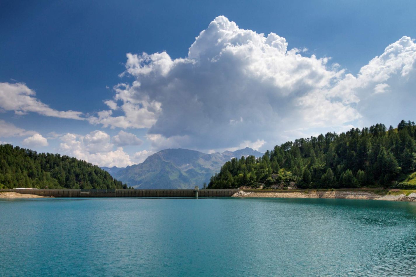 Storvandre: Ritom Lake