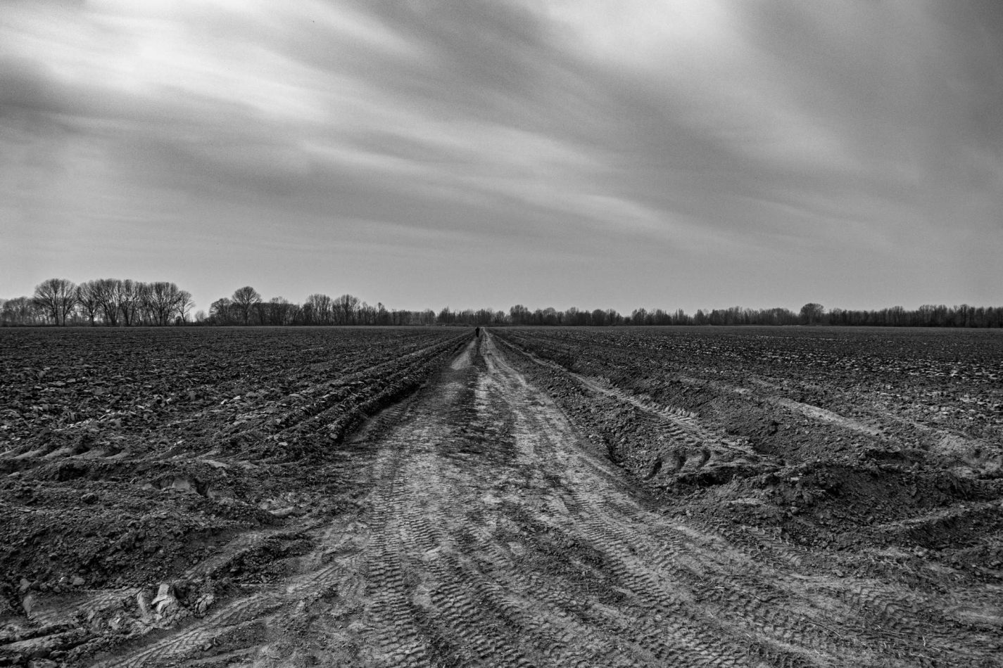 Storvandre: Golena del Po