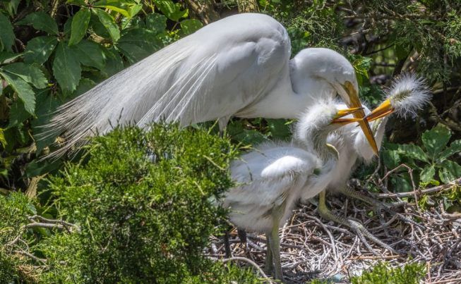 Atlantic City Cape May  Ocean City