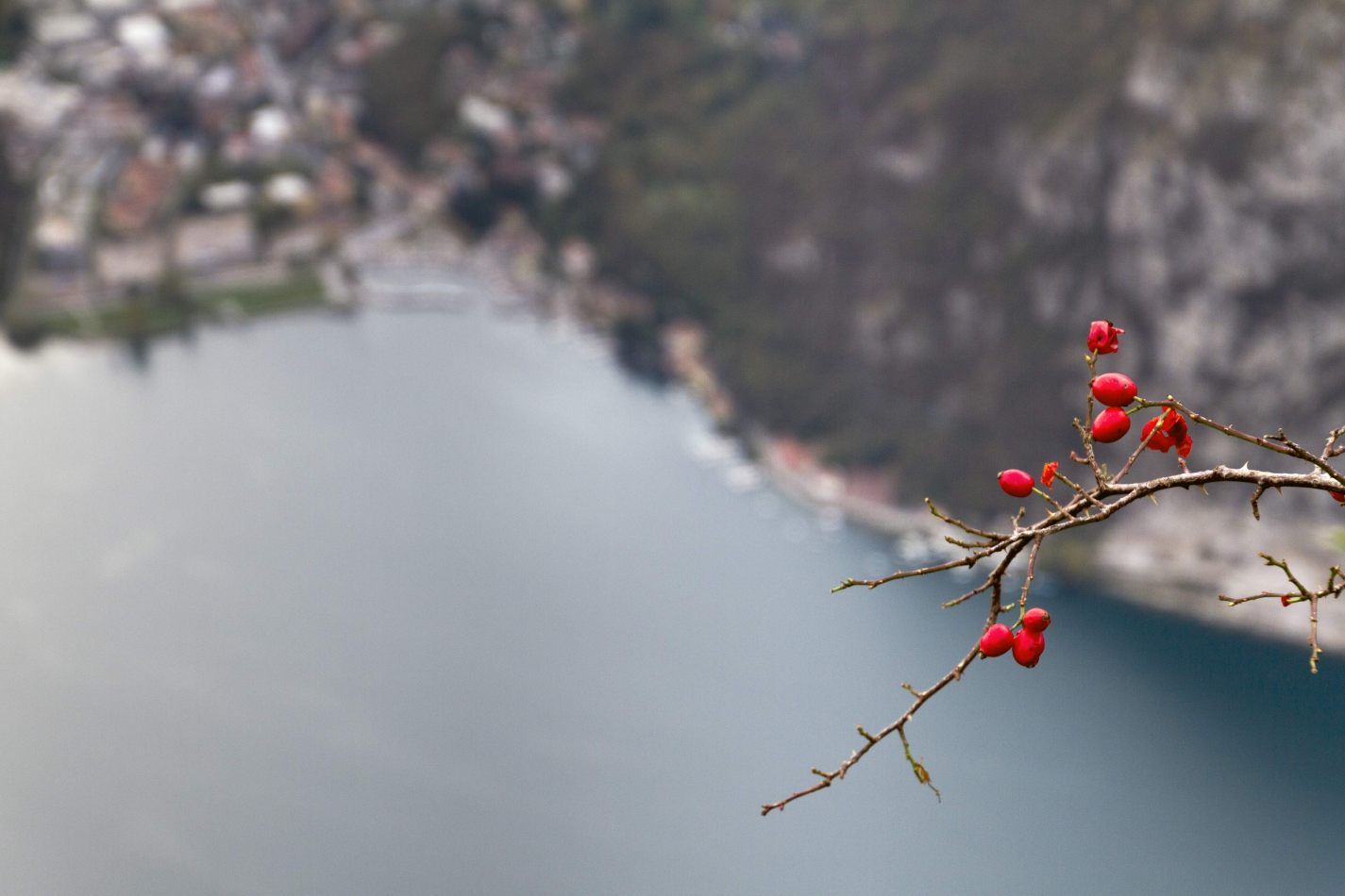 Storvandre: Piani dei Resinelli