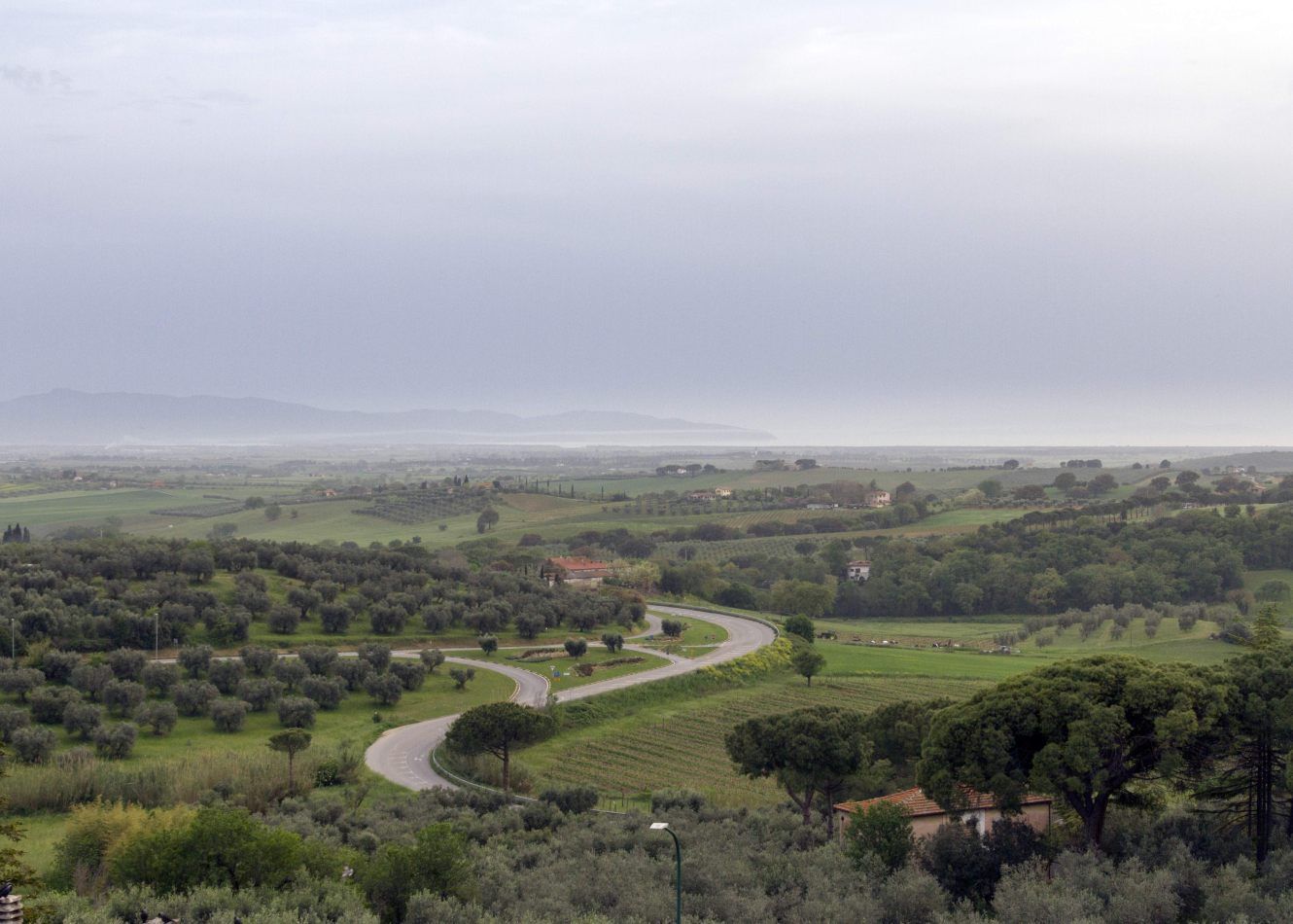 Storvandre: Magliano in Toscana