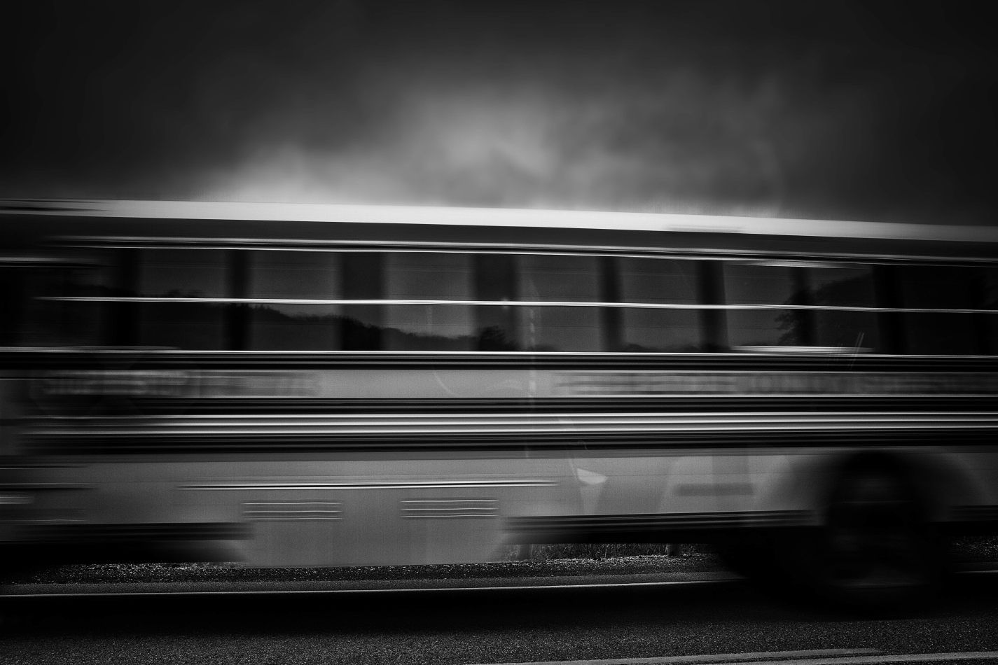 Storvandre: Virginia