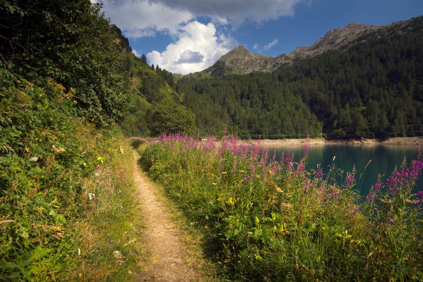 Storvandre: Ritom Lake