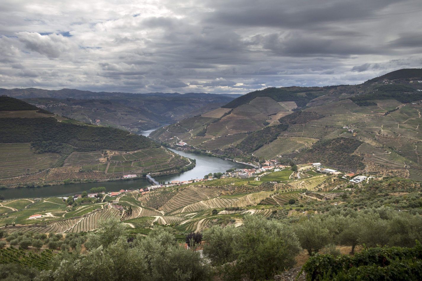 Storvandre: Douro Valley