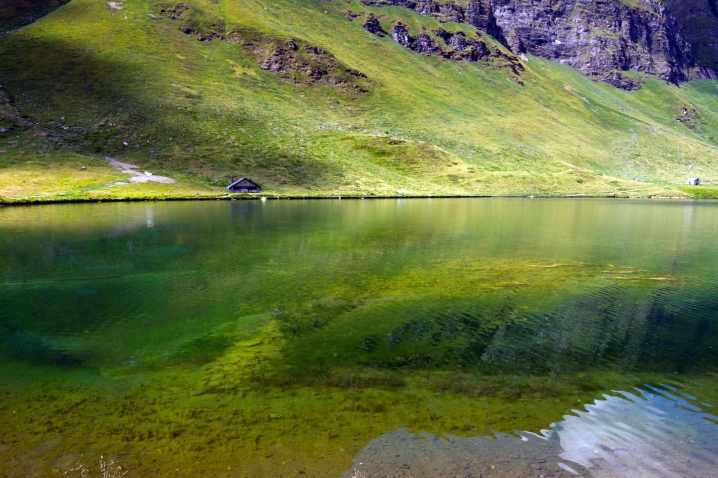 Storvandre: Ritom Lake