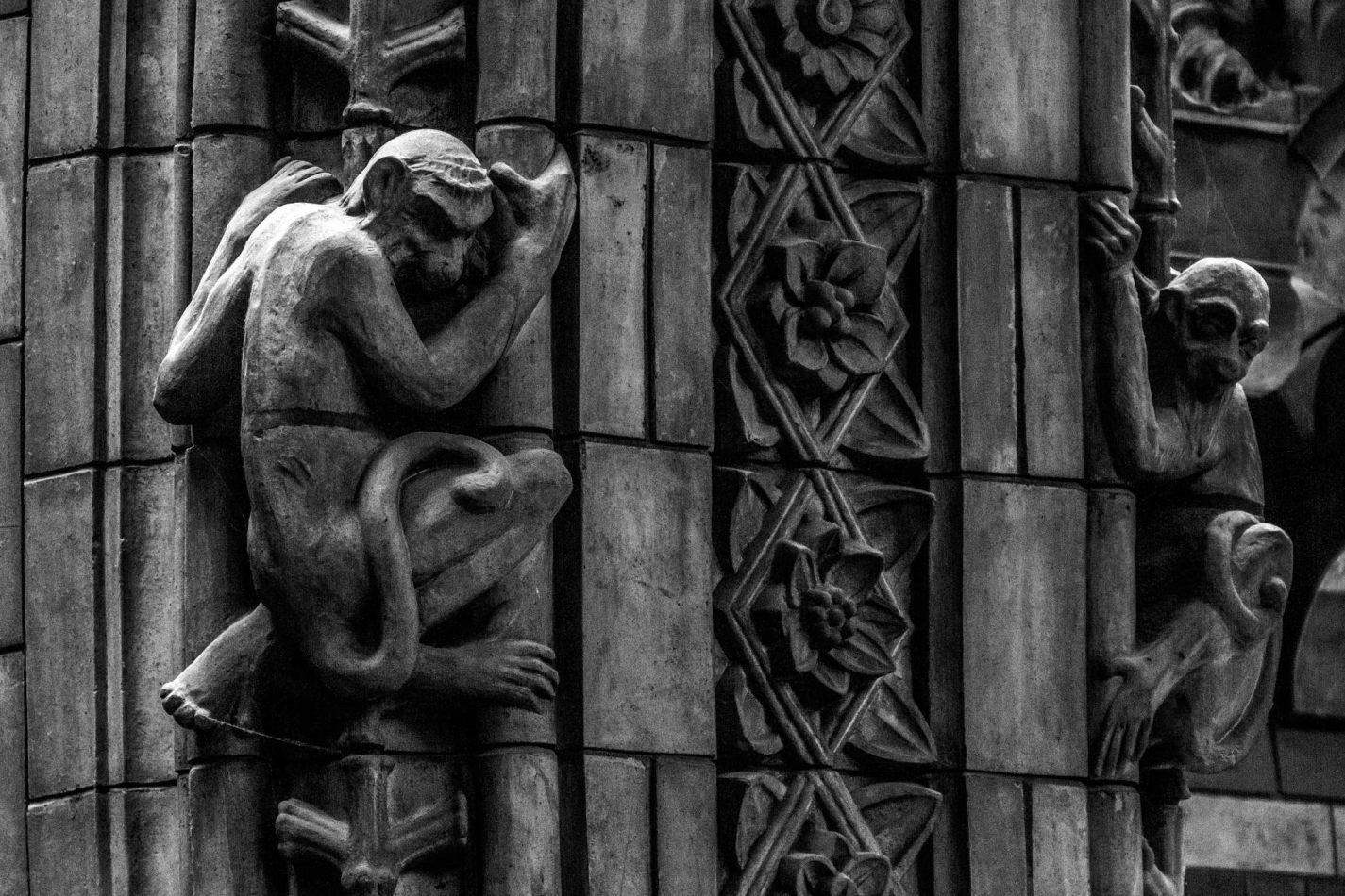 Storvandre: Natural History Museum