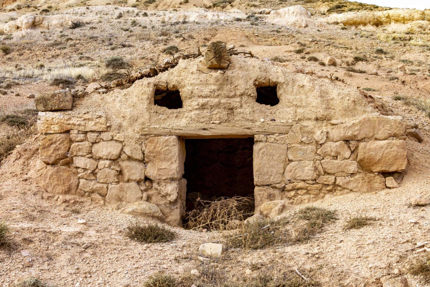 Storvandre: Montuenga