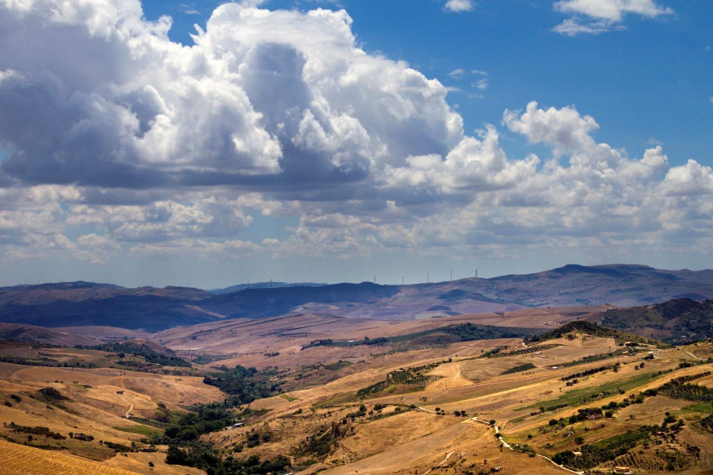 Storvandre: Petralia