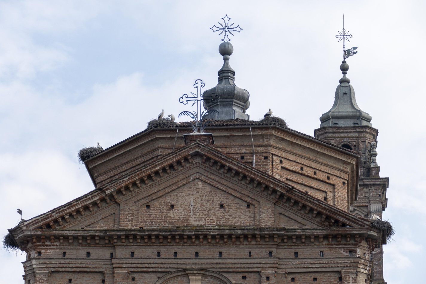 Storvandre: Racconigi