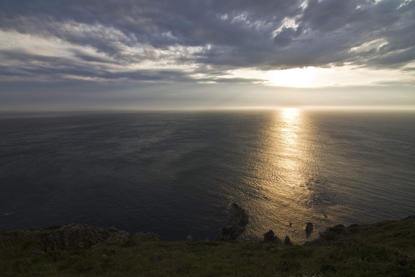 Storvandre: Cap de la Hague