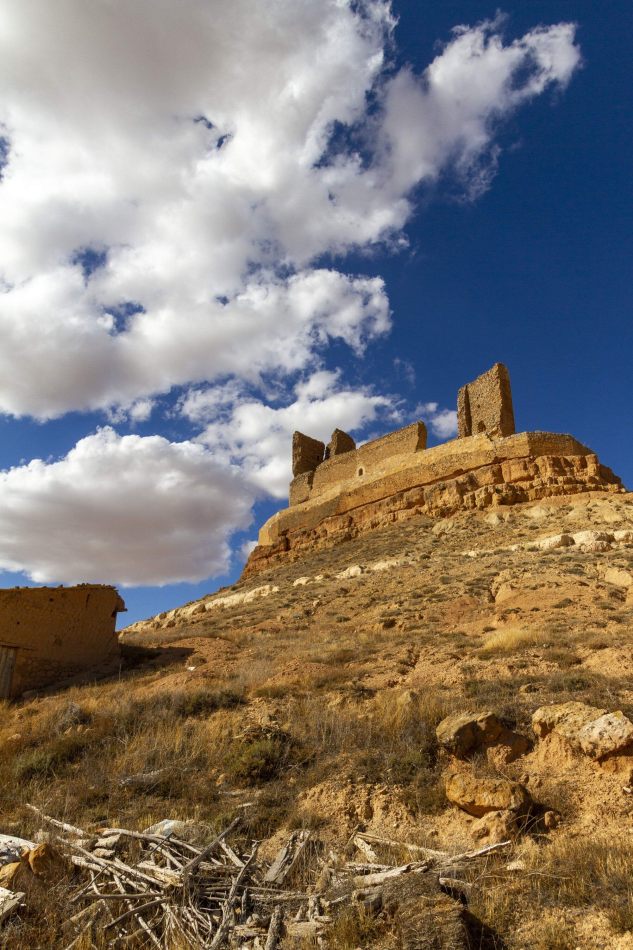 Storvandre: Montuenga