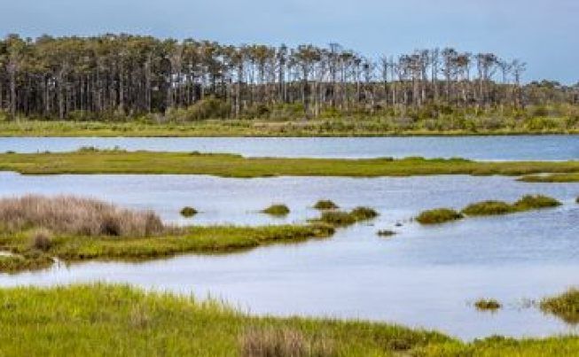 Ocean City Assateague Island NWR