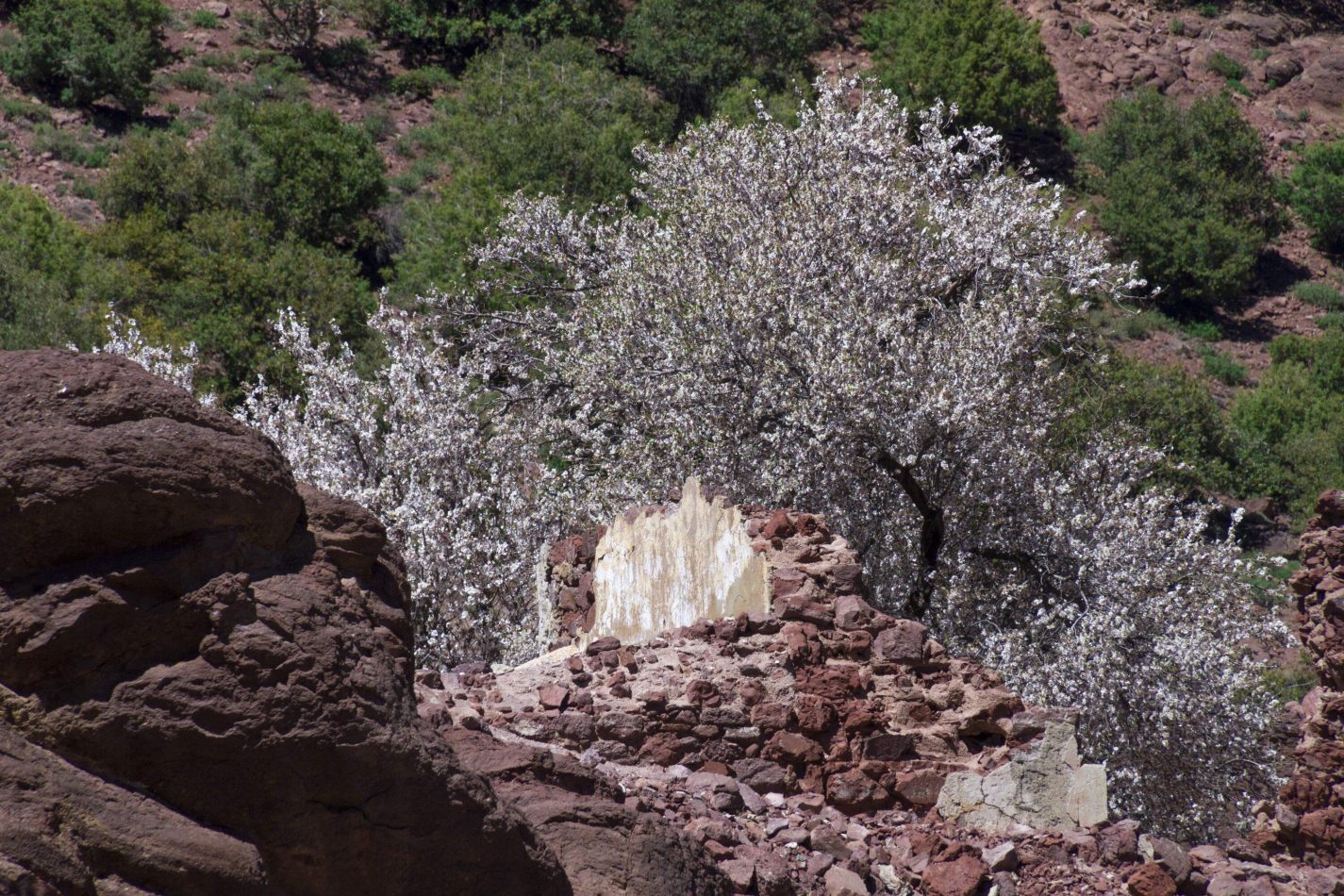 Storvandre: Tizi n Test Pass