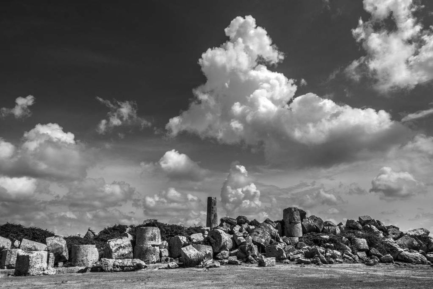 Storvandre: Selinunte