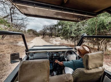 Gorongosa National Park