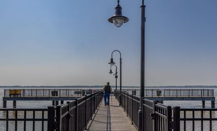 Wilmington the best laid plans