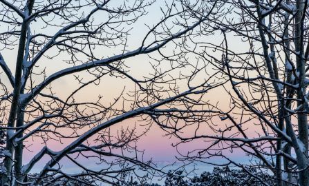 Another abbreviated day