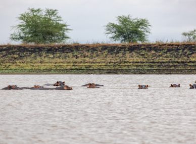 Gorongosa National Park