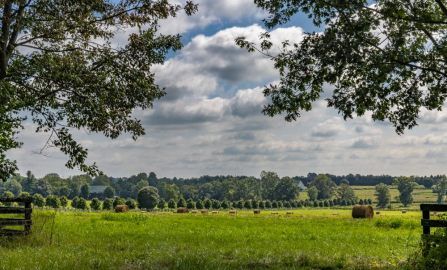 Lexington to Louisville