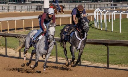 Louisville Churchill Downs Kentucky Derby