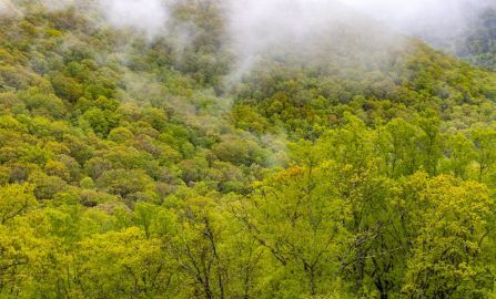 Oak Ridge to Ashville