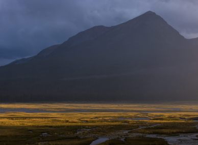 Jasper National Park
