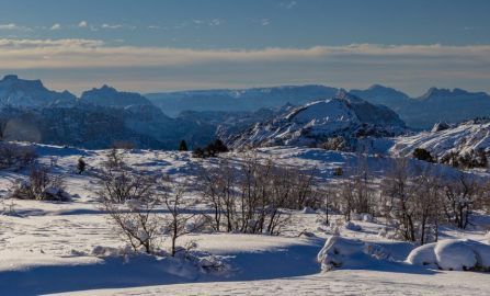 Zion in winter