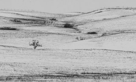 Medora Theodore Roosevelt NP  North Unit