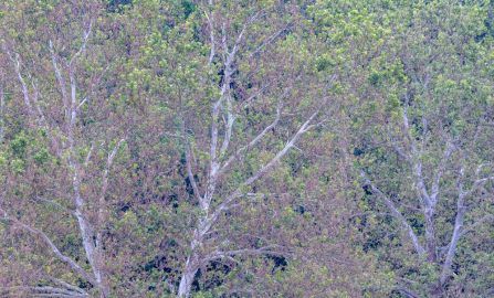 Wilmington Brandywine parks