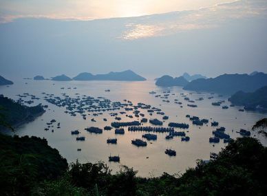 Cat Ba Island