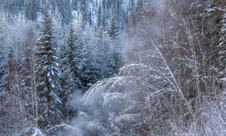 Fairbanks Chena Hot Springs